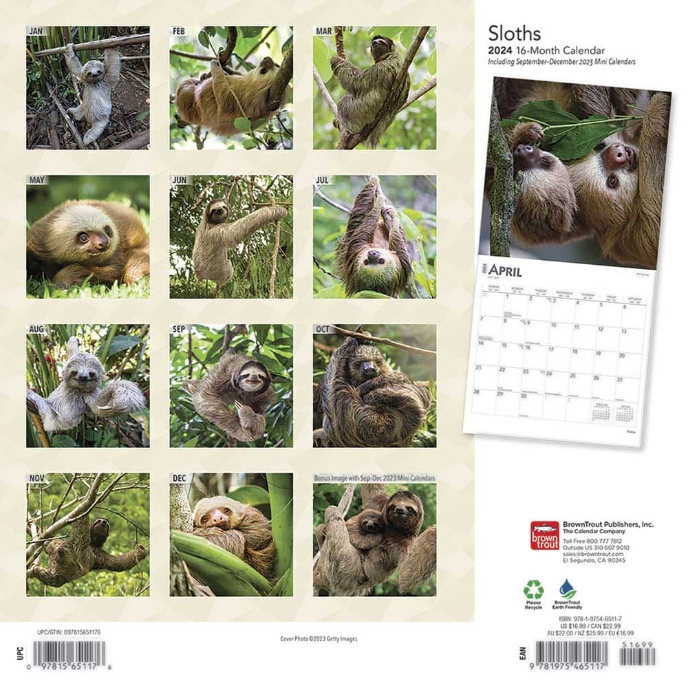 Sloths 2024 Wall Calendar