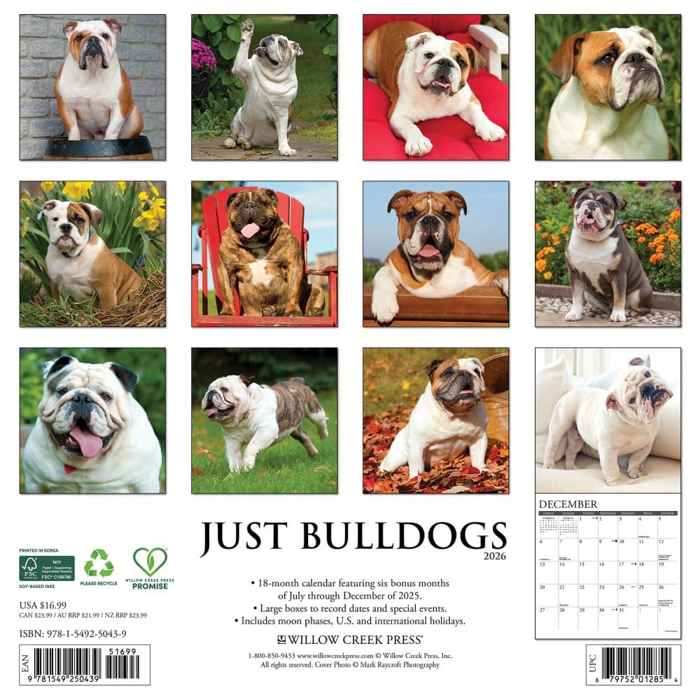 Just Bulldogs 2026 Wall Calendar First Alternate Image