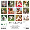 image Just Bulldogs 2026 Wall Calendar First Alternate Image