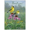 image Songbirds Special Edition 2024 Wall Calendar Third Alternate Image width=&quot;1000&quot; height=&quot;1000&quot;