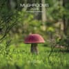 image Mushrooms 2025 Mini Wall Calendar Main Product Image width=&quot;1000&quot; height=&quot;1000&quot;