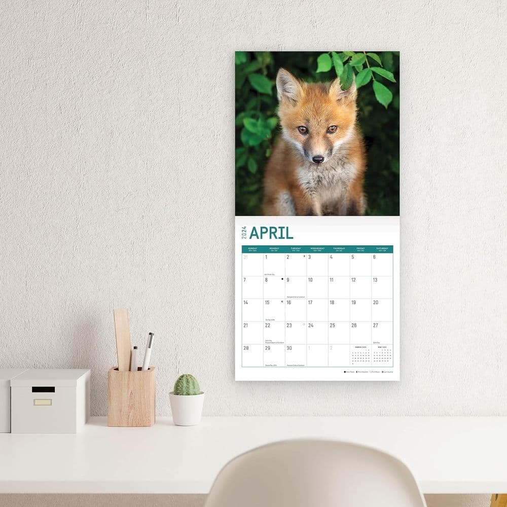 Baby Foxes 2024 Wall Calendar Sixth Alternate Image width=&quot;1000&quot; height=&quot;1000&quot;