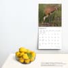 image Wisconsin Wild and Scenic 2024 Wall Calendar First Third Alternate  Image width=&quot;1000&quot; height=&quot;1000&quot;
