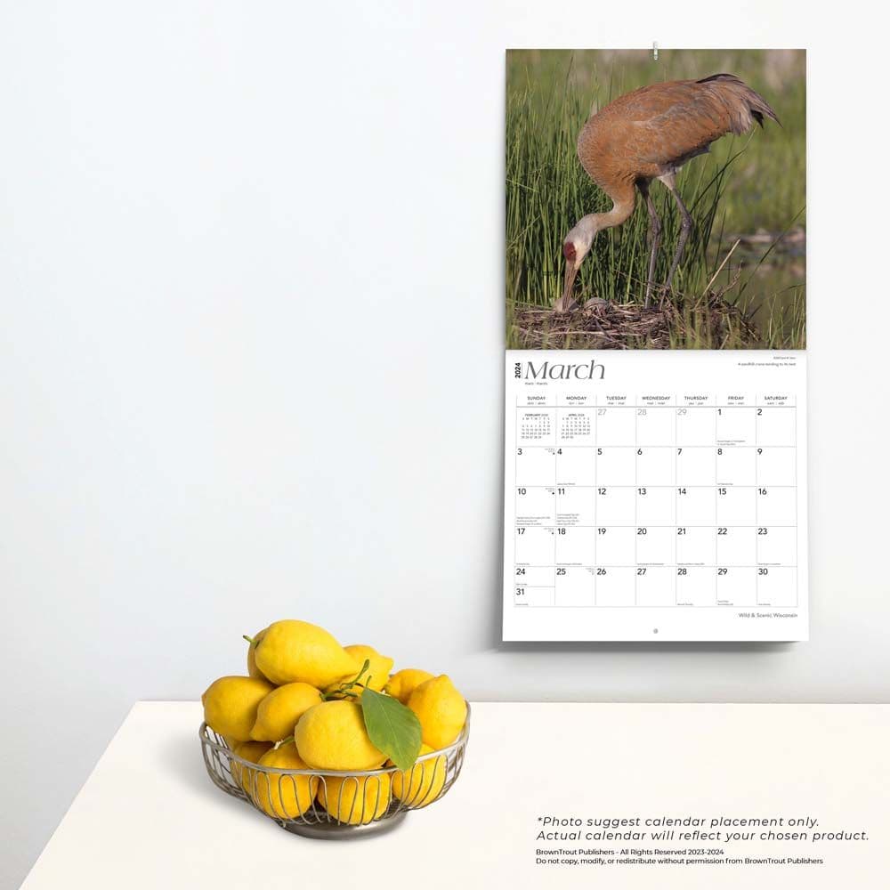 Wisconsin Wild and Scenic 2024 Wall Calendar First Third Alternate  Image width=&quot;1000&quot; height=&quot;1000&quot;