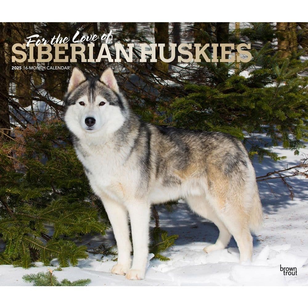 image Siberian Huskies Deluxe 2025 Wall Calendar Main Image