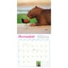 image Capybara 2027 Wall Calendar Fourth Alternate Image