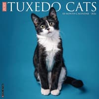 image Tuxedo Cats 2026 Wall Calendar  Main Image
