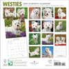 image Westies 2024 Wall Calendar First Alternate Image width=&quot;1000&quot; height=&quot;1000&quot;