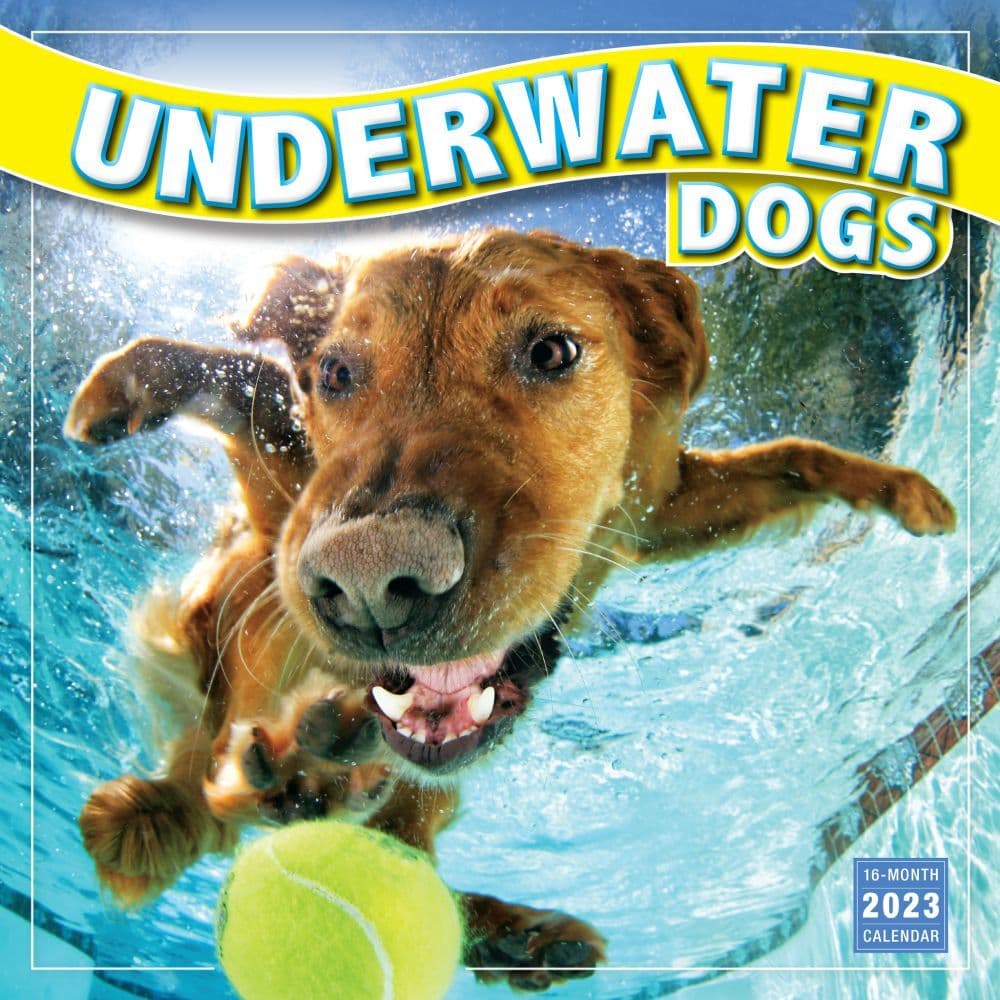 Underwater Dogs Calendar 2023 Underwater Dogs 2023 Wall Calendar - Calendars.com