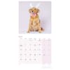 image Dogs in Disguise 2026 Wall Calendar Second Alternate Image