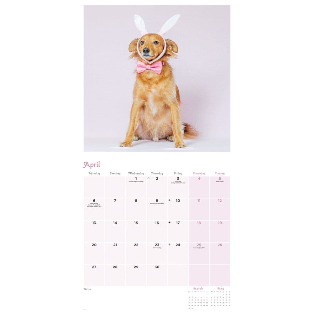 Dogs in Disguise 2026 Wall Calendar Second Alternate Image