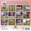 image Lambies in Jammies 2026 Mini Wall Calendar First Alternate Image