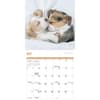 image Puppies 2025 Mini Wall Calendar Second Alternate Image width=&quot;1000&quot; height=&quot;1000&quot;