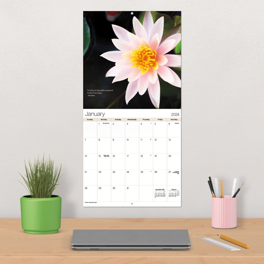 Zen 2024 Wall Calendar - Calendars.com