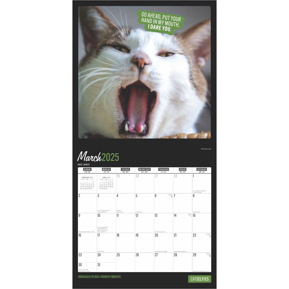 Cat Selfies 2025 Wall Calendar Second Alternate Image width=&quot;1000&quot; height=&quot;1000&quot;