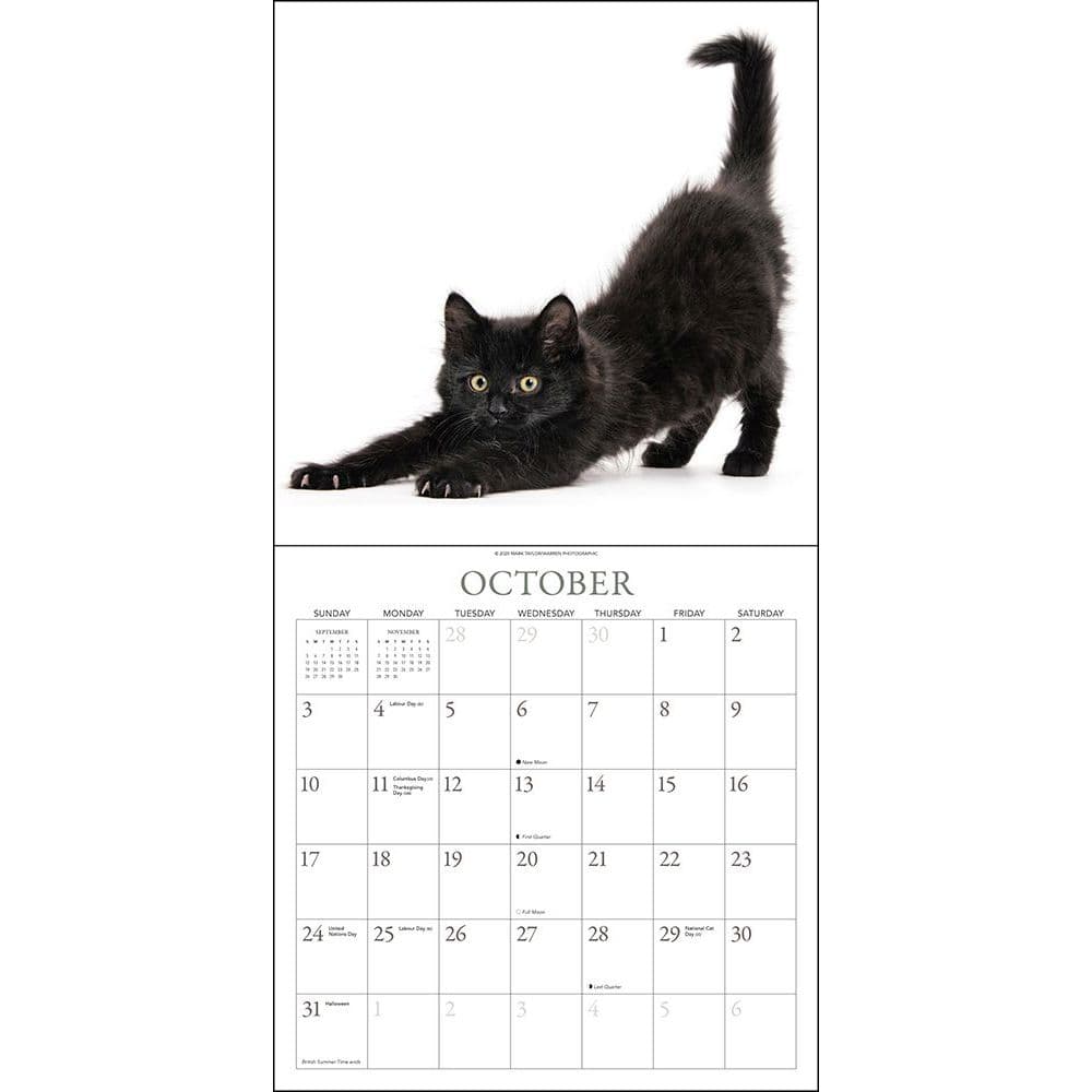 Black Cats On White Wall Calendar