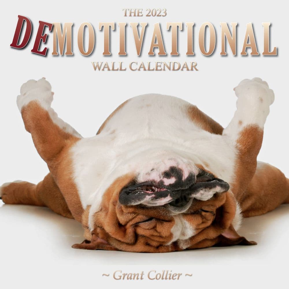 Demotivational 2023 Wall Calendar