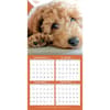 image All Mixed Up! 2024 Wall Calendar Third Alternate  Image width=&quot;1000&quot; height=&quot;1000&quot;