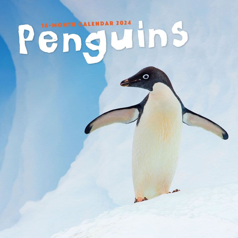 Penguins 2024 Wall Calendar