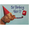 image Birthday Assorted Birthday Cards