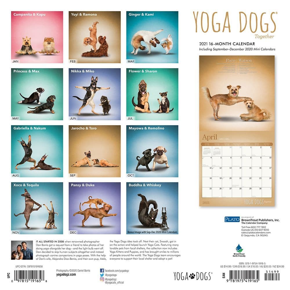 Yoga Dogs Together Wall Calendar