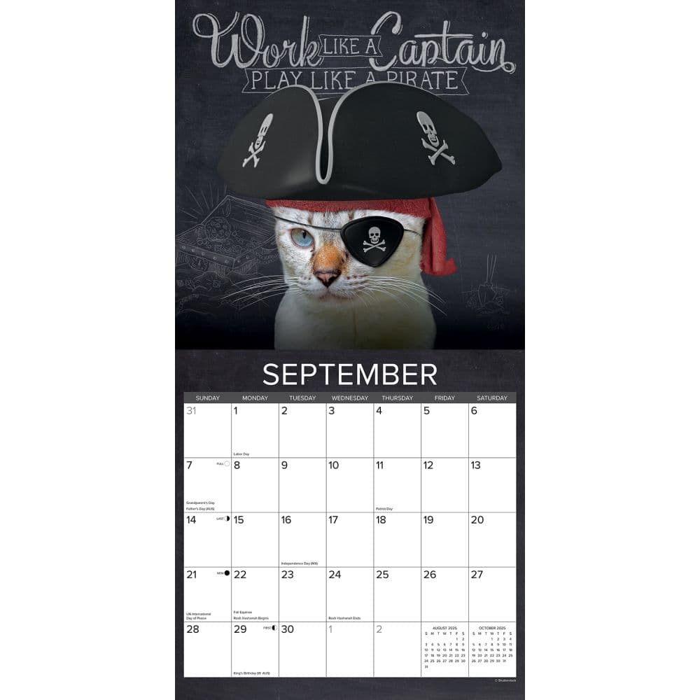 Catspirations 2025 Wall Calendar Second Alternate Image width=&quot;1000&quot; height=&quot;1000&quot;