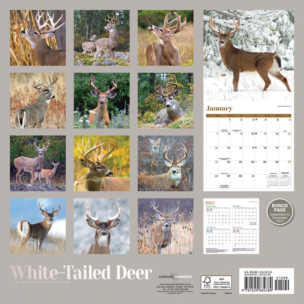 White Tailed Deer Wall 2024 Wall Calendar Alternate Image 1