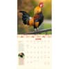 image How to Speak Chicken 2025 Wall Calendar Second Alternate Image width="1000" height="1000"