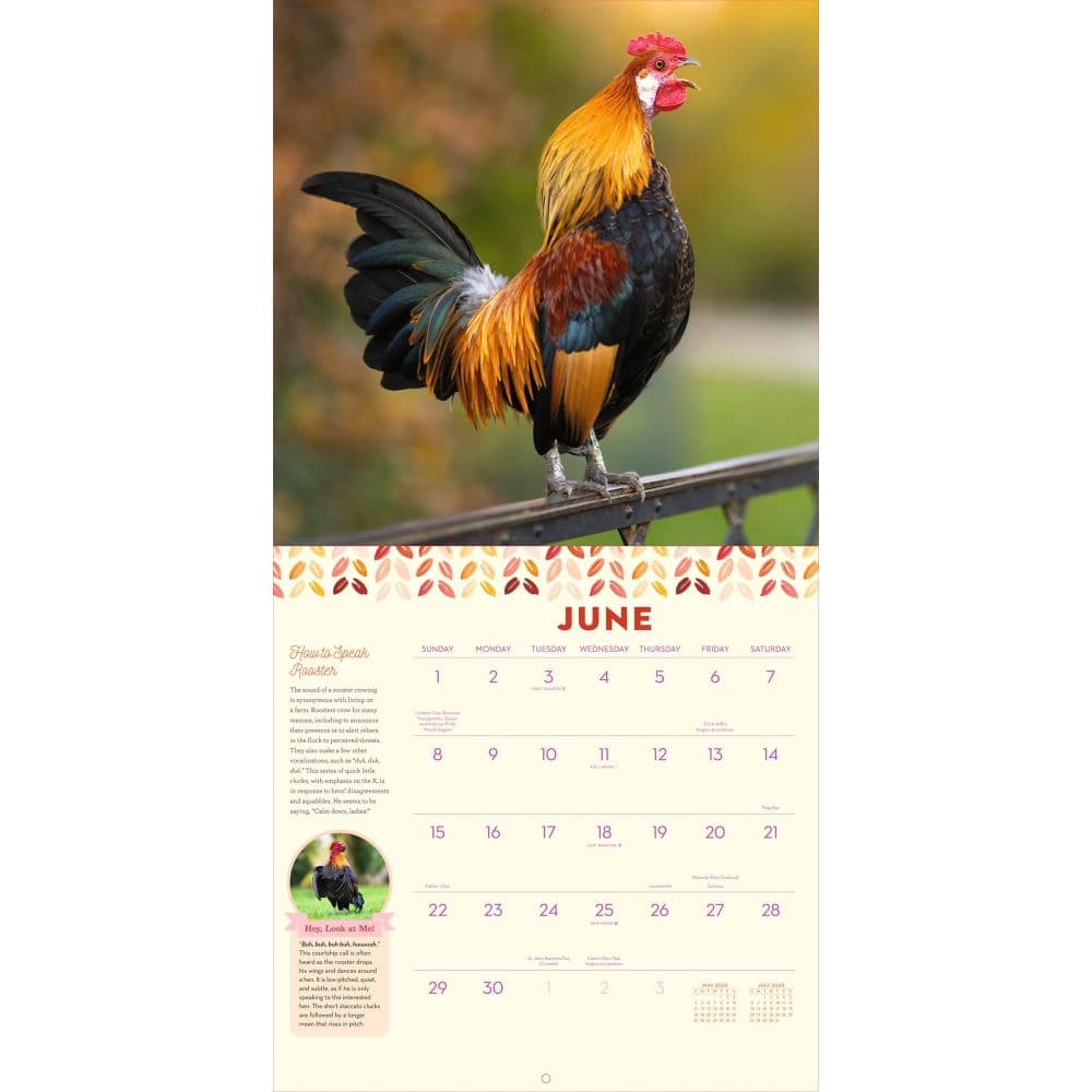 How to Speak Chicken 2025 Wall Calendar Second Alternate Image width="1000" height="1000"