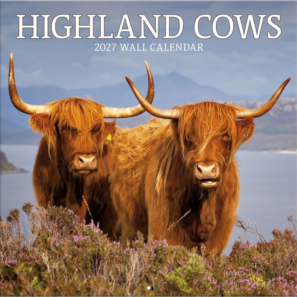 Highland Cows Photo 2027 Wall Calendar