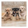 image Playful Puppies Photo 2025 Mini Wall Calendar