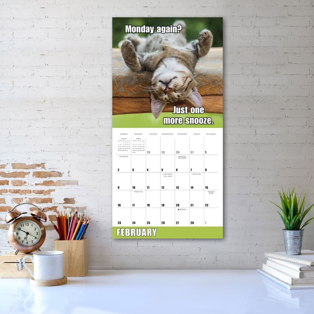 Meow Memes 2025 Wall Calendar