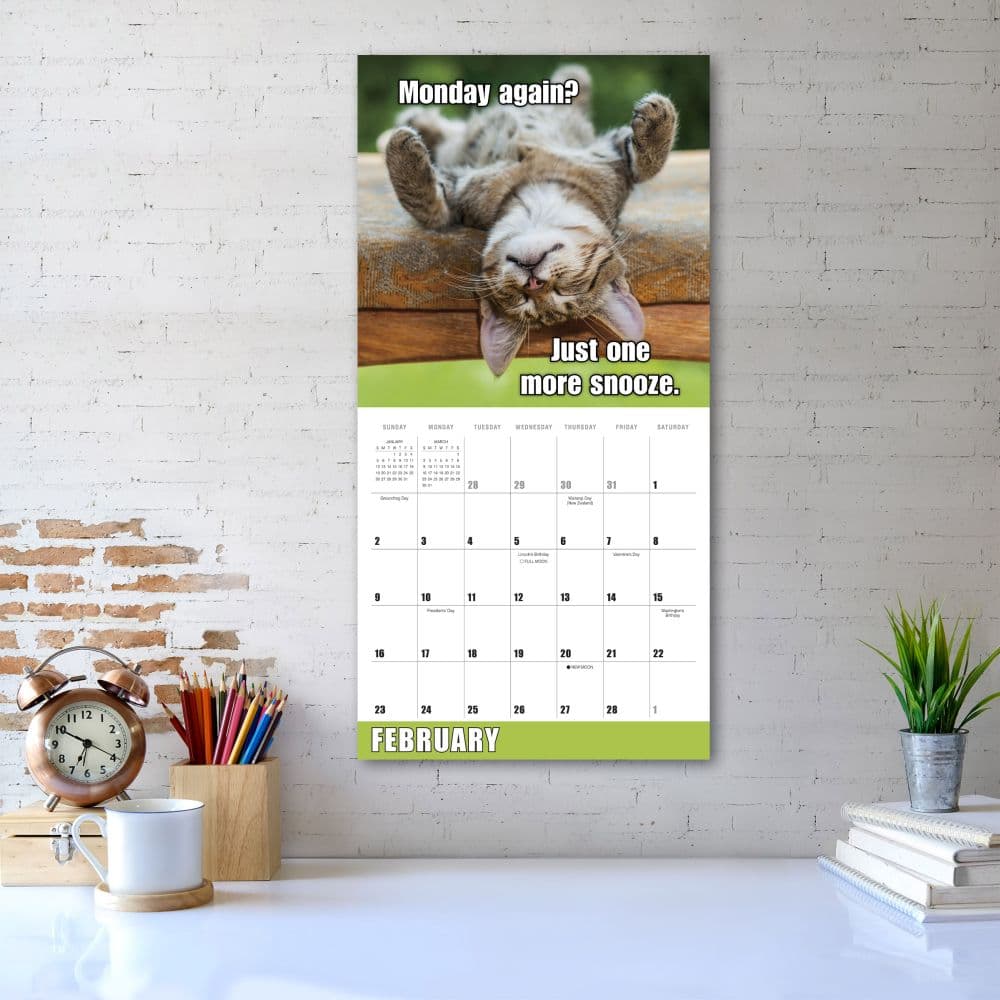 2025 Meme Calendar Complete Leigh R Phelan 2025 Meme Calendar Complete Leigh R Phelan