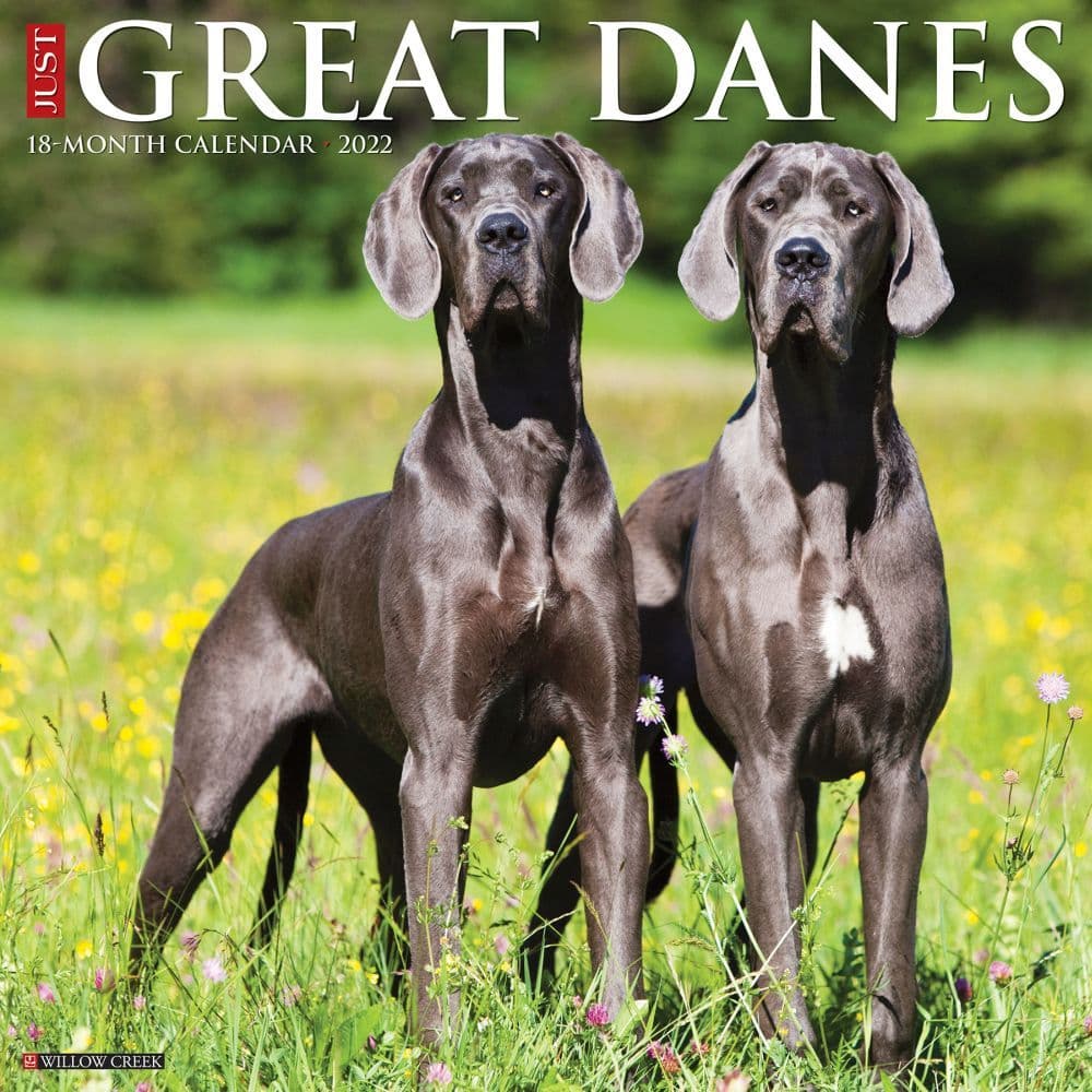 Great Danes 2022 Calendar