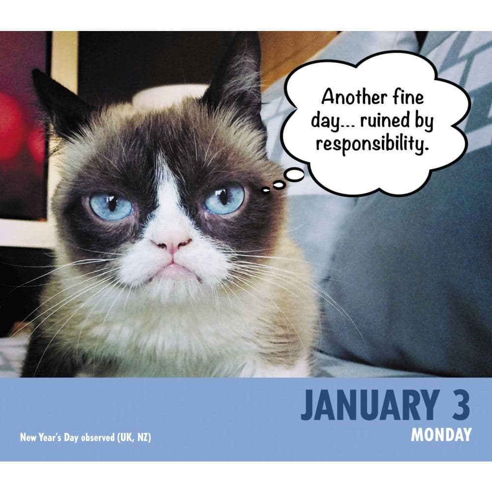 Grumpy Cat 2022 Desk Calendar - Calendars.com