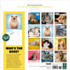 image Chonkers 2026 Wall Calendar First Alternate Image