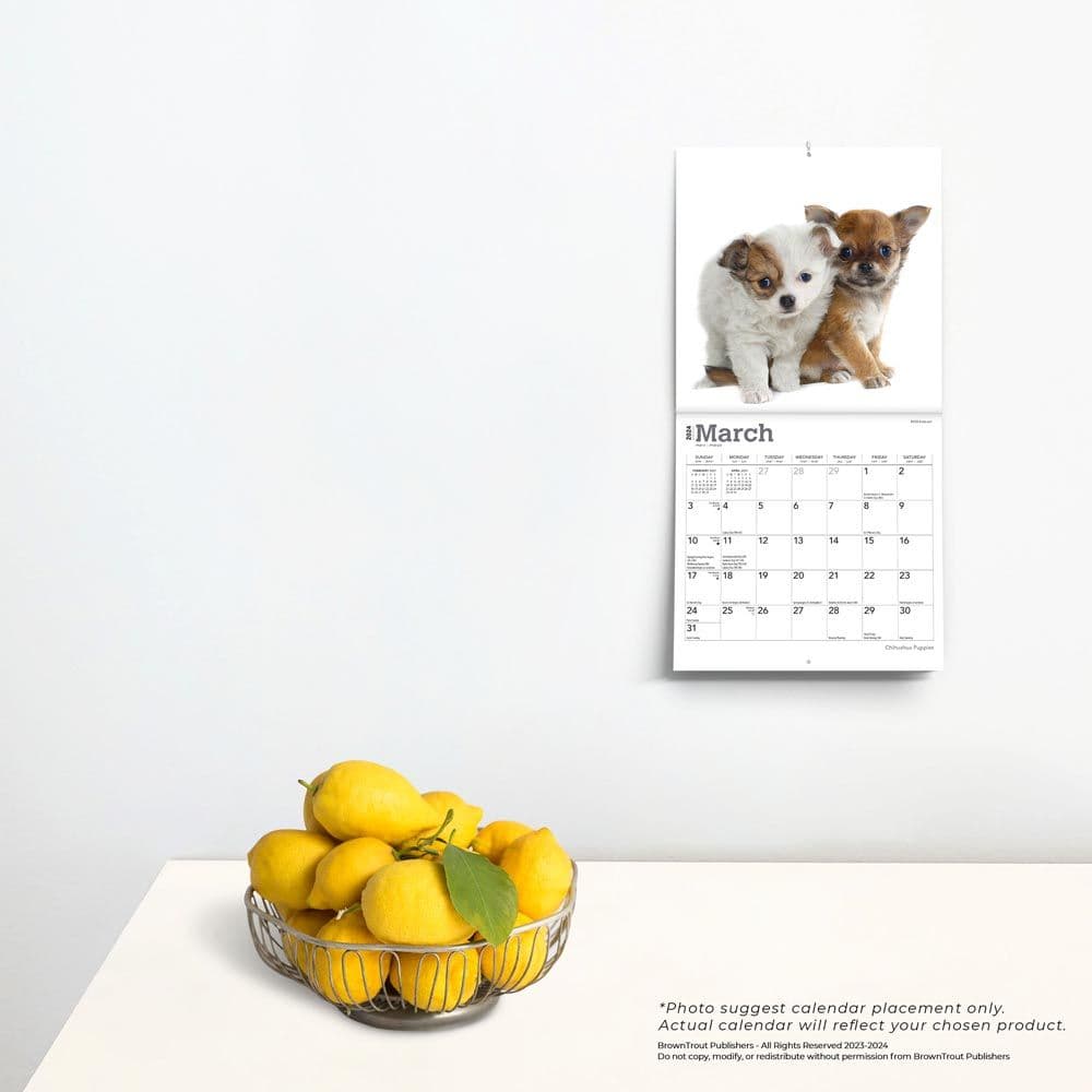 Chihuahua Puppies 2024 Mini Wall Calendar Third Alternate Image width=&quot;1000&quot; height=&quot;1000&quot;