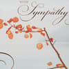 image Photo Scene with Vellum Branch Sympathy Card Third Alternate Image width=&quot;1000&quot; height=&quot;1000&quot;