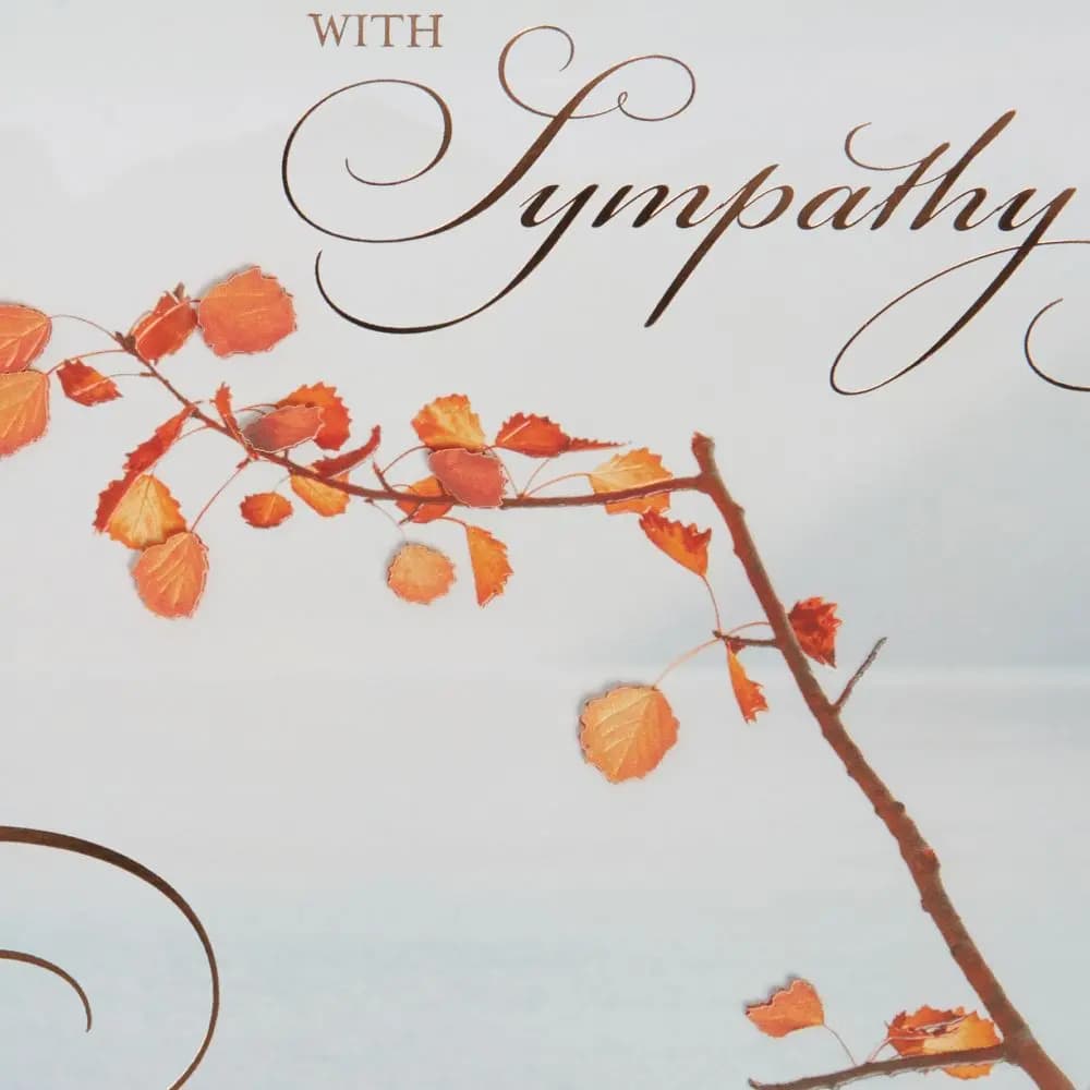 Photo Scene with Vellum Branch Sympathy Card Third Alternate Image width=&quot;1000&quot; height=&quot;1000&quot;