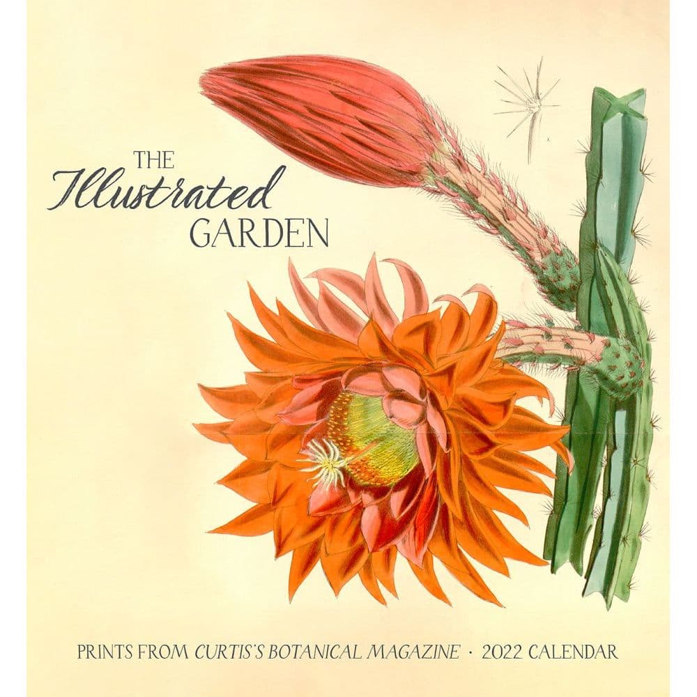 The Illustrated Garden Prints from Curtiss Botanical Magazine 2022 Wall