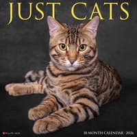 image Just Cats 2026 Wall Calendar Main Image