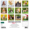 image Just Basset Hound Puppies 2024 Wall Calendar Alternate Image 1