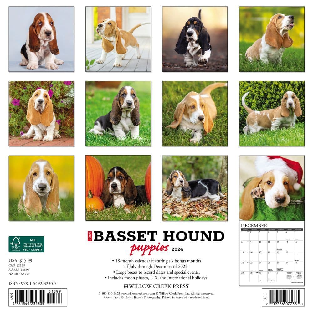 Just Basset Hound Puppies 2024 Wall Calendar Alternate Image 1