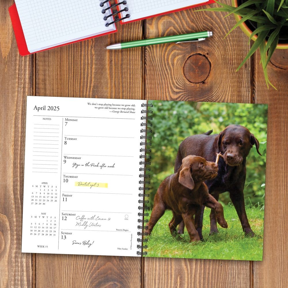 Labs What Labs Teach Us 2025 Engagement Planner Alt2