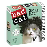 image Bad Cat 2026 Page-a-Day Desk Calendar