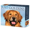 image Just Goldens 2026 Desk Calendar Main Product Image