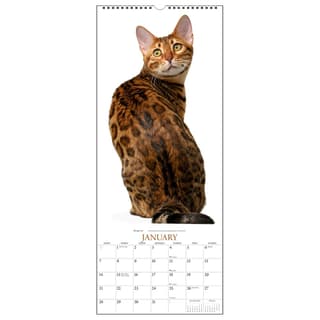 The Proverbial Cat Wall Calendar - Home & Office Decor & Gifts