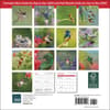 image Hummingbirds 2025 Mini Wall Calendar First Alternate Image width="1000" height="1000"