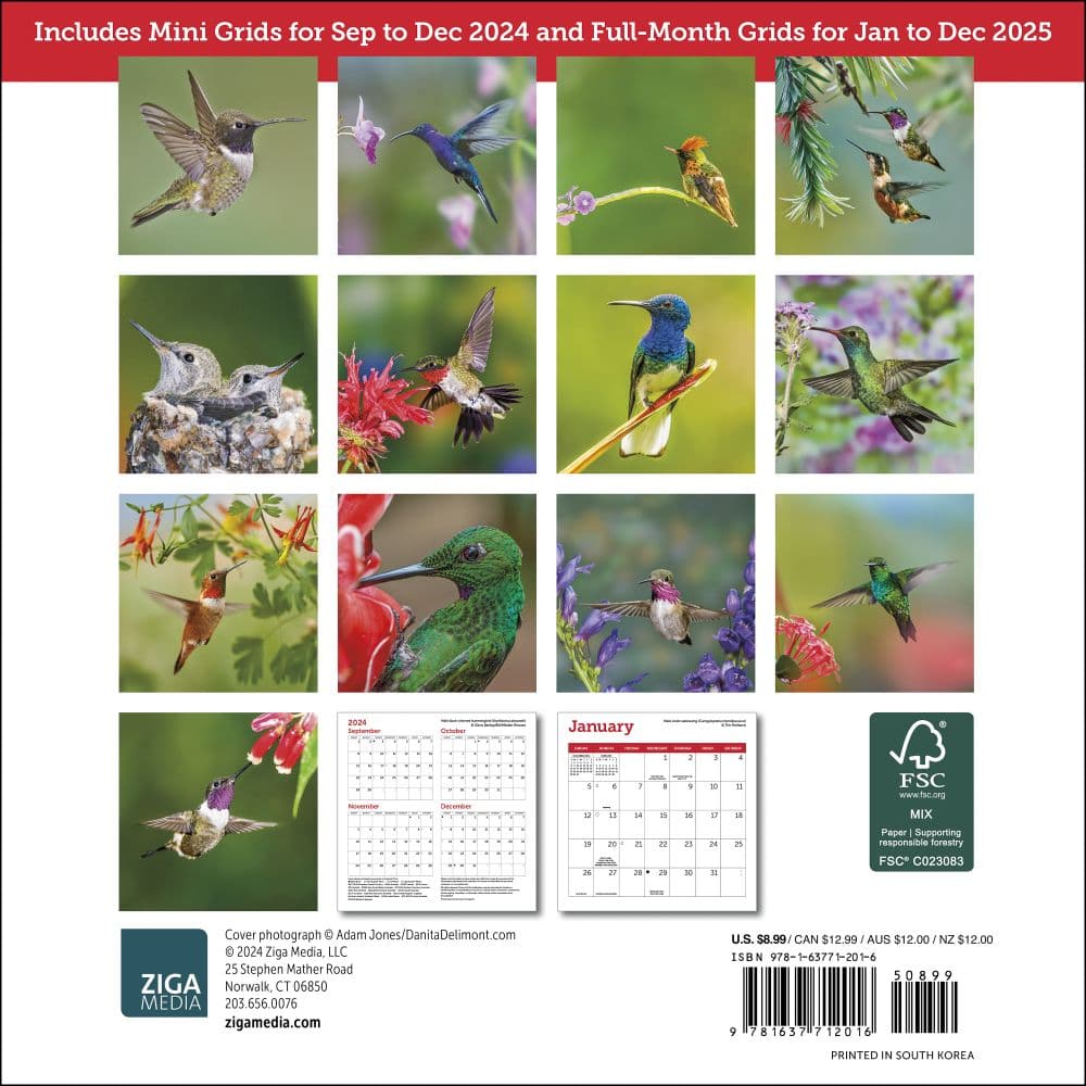 Hummingbirds 2025 Mini Wall Calendar First Alternate Image width="1000" height="1000"