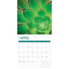 image Succulents 2025 Wall Calendar Second Alternate Image